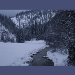 2013-02-02_Rappinschlucht_Lainlalm (126).jpg